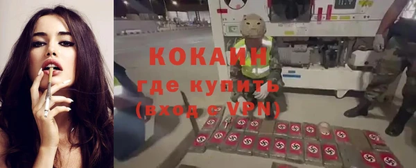 СК Богородицк