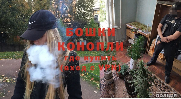 СК Богородицк
