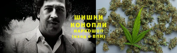 мдпв Богородск