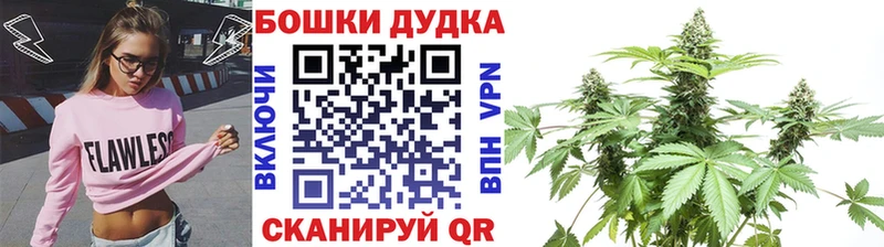 Бошки марихуана Amnesia  Купить закладки  Никольск 